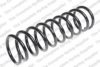 LESJ?FORS 4214211 Coil Spring